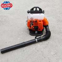 Air Blower Chinese Leaf Snow Blower Backpack Gasoline Blower